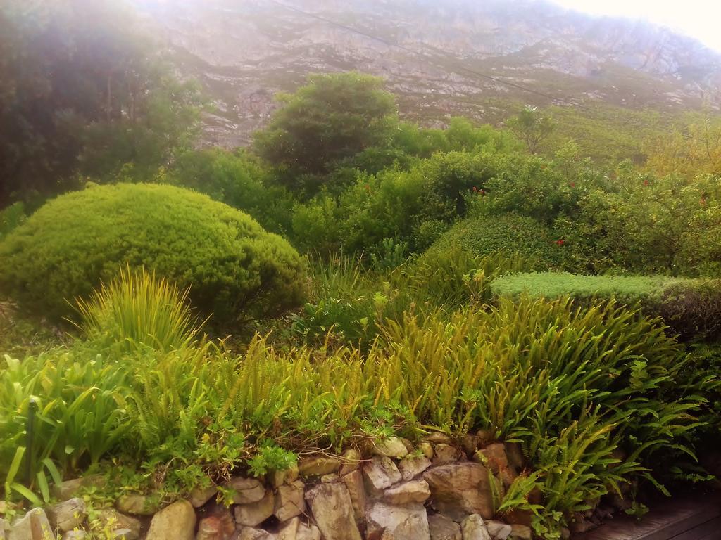 Whale Coast Villa Hermanus Buitenkant foto